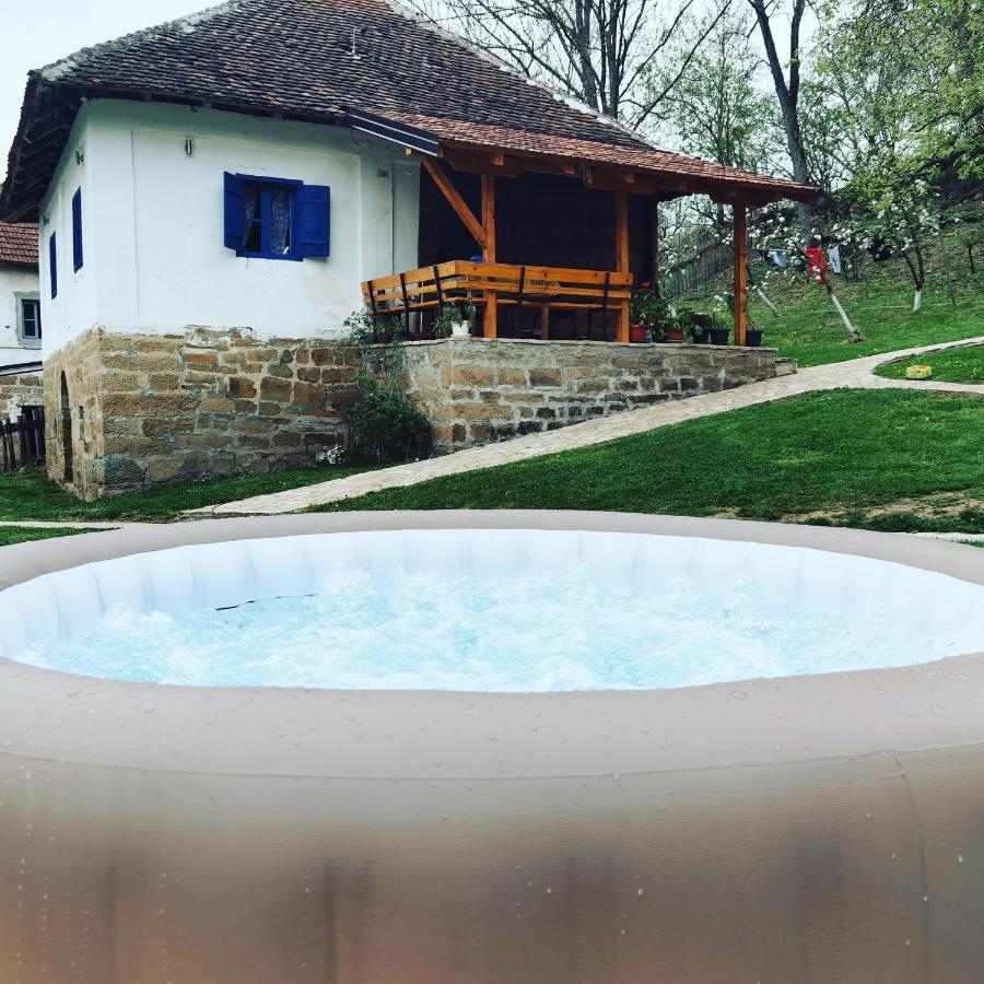Stara Etno Kuca Radonjic Villa Guca Luaran gambar