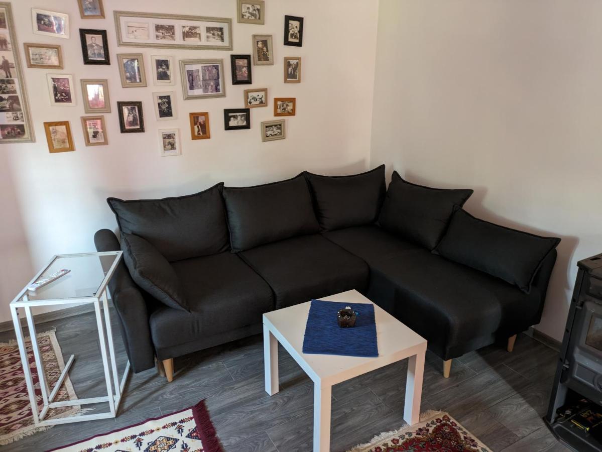 Stara Etno Kuca Radonjic Villa Guca Luaran gambar