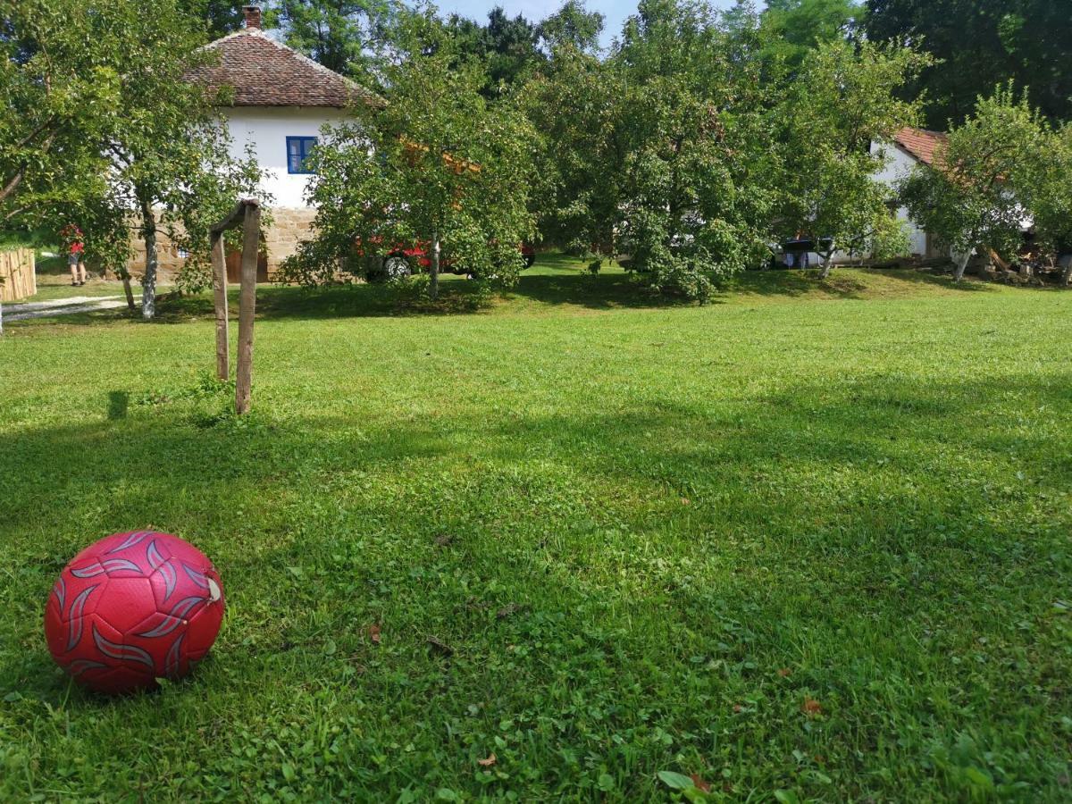 Stara Etno Kuca Radonjic Villa Guca Luaran gambar