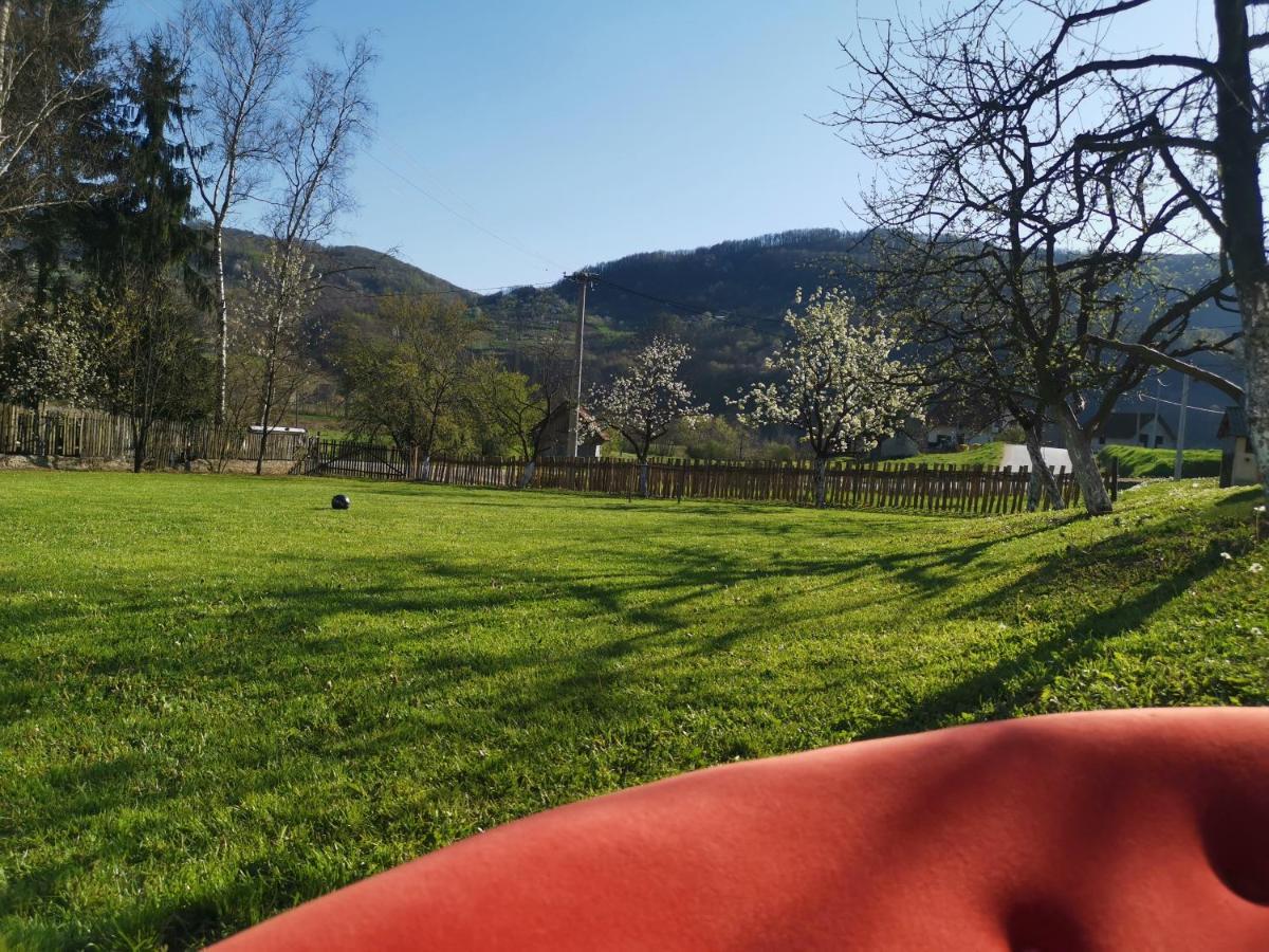 Stara Etno Kuca Radonjic Villa Guca Luaran gambar